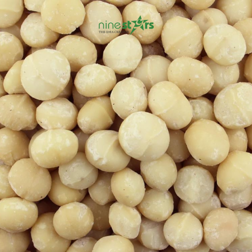 hạt mắc ca sấy mộc - macadamia say moc